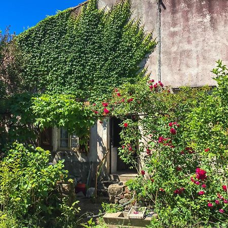 Le Mas Du Figuier, Maison De Vacances Le Bousquet-d'Orb Bagian luar foto