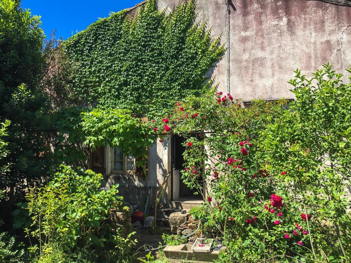Le Mas Du Figuier, Maison De Vacances Le Bousquet-d'Orb Bagian luar foto
