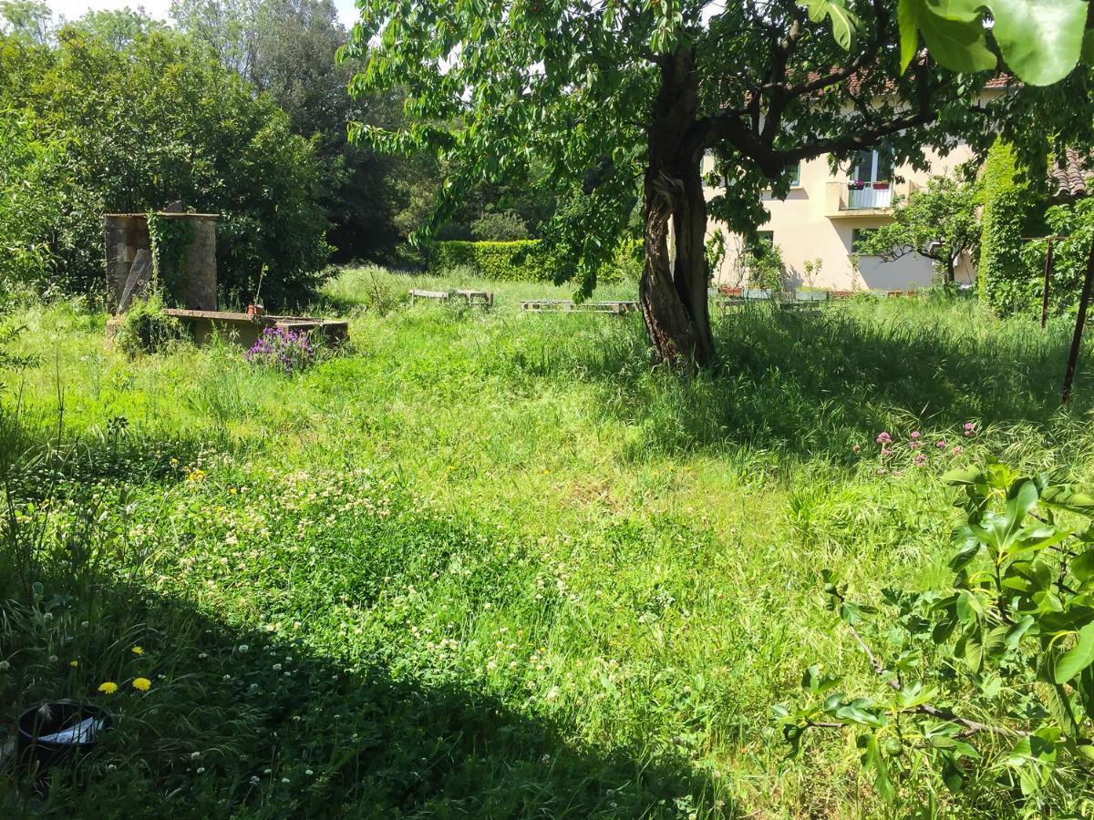 Le Mas Du Figuier, Maison De Vacances Le Bousquet-d'Orb Bagian luar foto